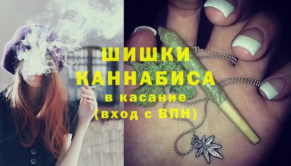 дживик Баксан