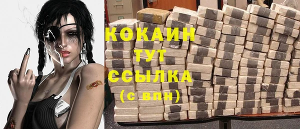 дживик Баксан