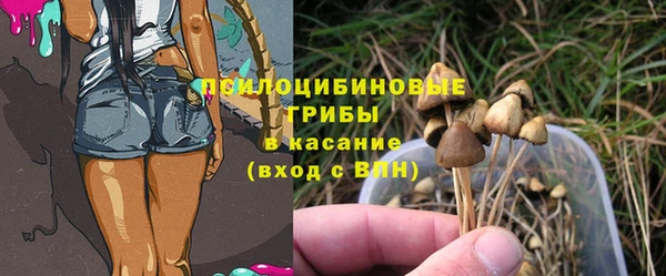 дживик Баксан