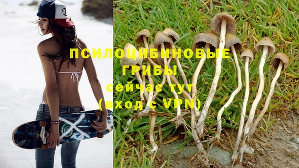 мдпв Сатка