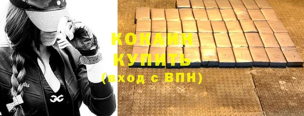 дживик Баксан