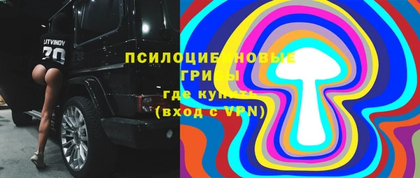 дживик Баксан